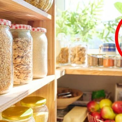 Cuisine sans mites alimentaires