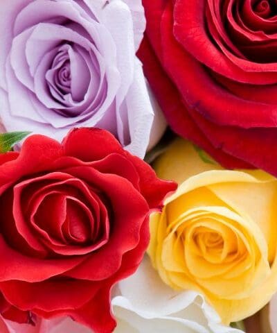 Bouquet de fleurs
