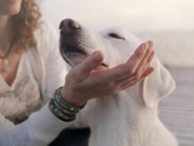 Comprendre son chien