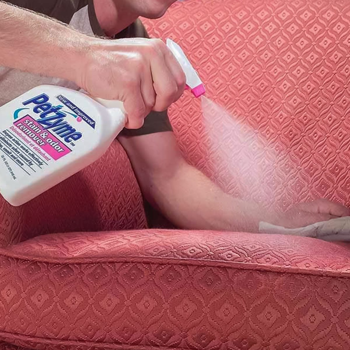 Nettoyage d'une tache d'animal de compagnie sur un tapis.