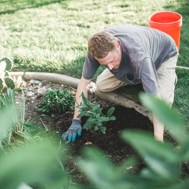 Une personne à genoux en train de planter une petite plante dans un jardin.