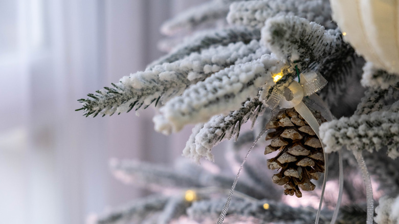 Image 9 : Gros plan d'un sapin de Noël givré