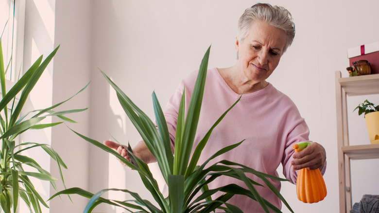Image 11 : Femme pulvérisant une plante d'intérieur verte avec une solution d'engrais
