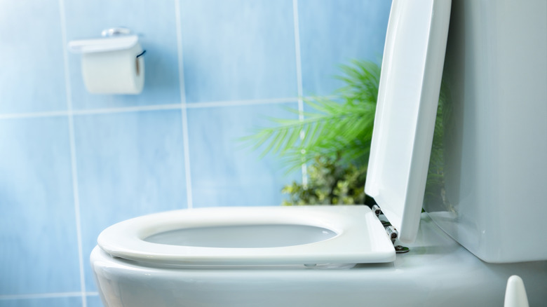 Image 8 : Toilettes propres vues de côté dans une salle de bain bleue