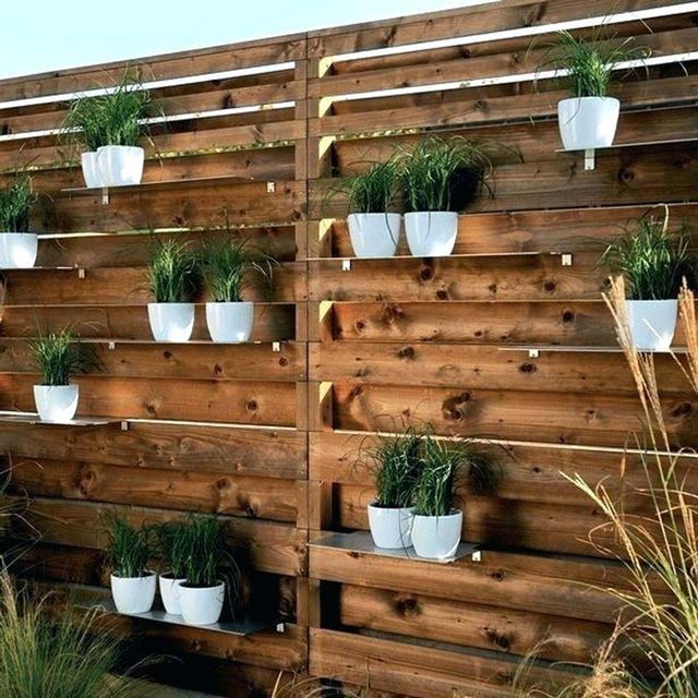 Des pots de plantes blanches accrochés à un mur en lattes de bois.