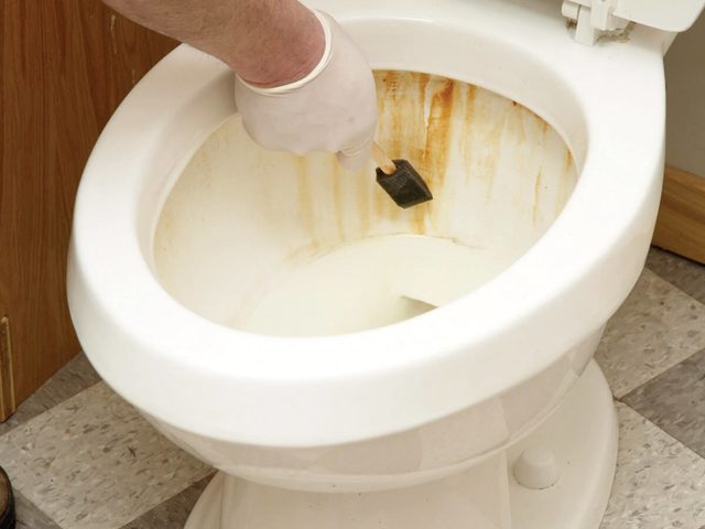 Une personne nettoie la cuvette des toilettes avec une brosse.