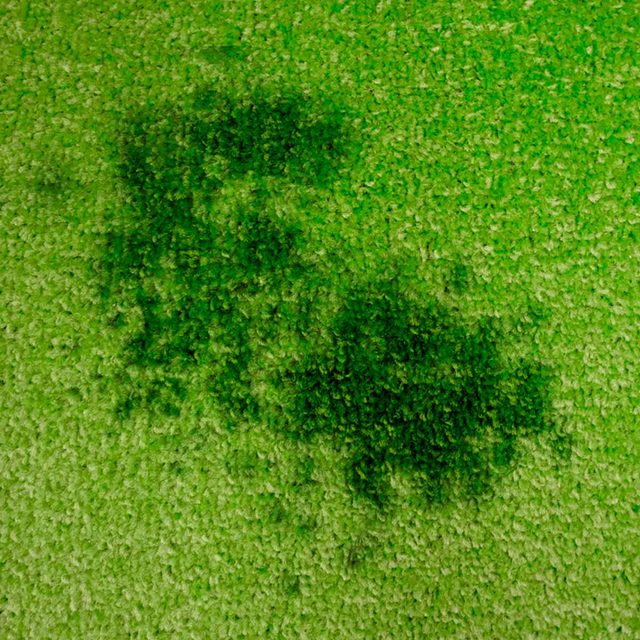 Des taches sombres sur une moquette verte vive.
