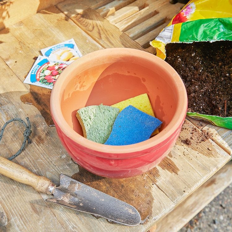 Trois éponges dans un pot de fleurs rouge, à côté d'une truelle de jardinage et d'un sac de terreau.