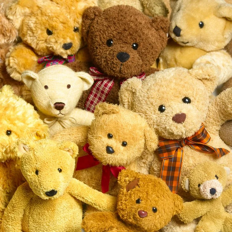 Une collection de plusieurs ours en peluche.
