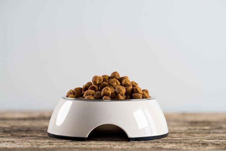 Une gamelle blanche remplie de croquettes pour chien sur un sol en bois.