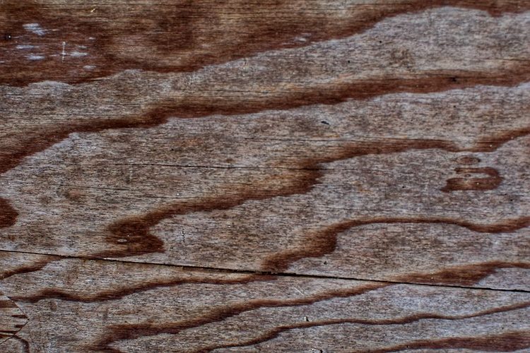 Traces de verres et auréoles d'eau sur une surface en bois.