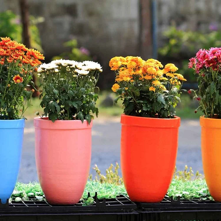 plusieurs pots de fleurs colorés et peints