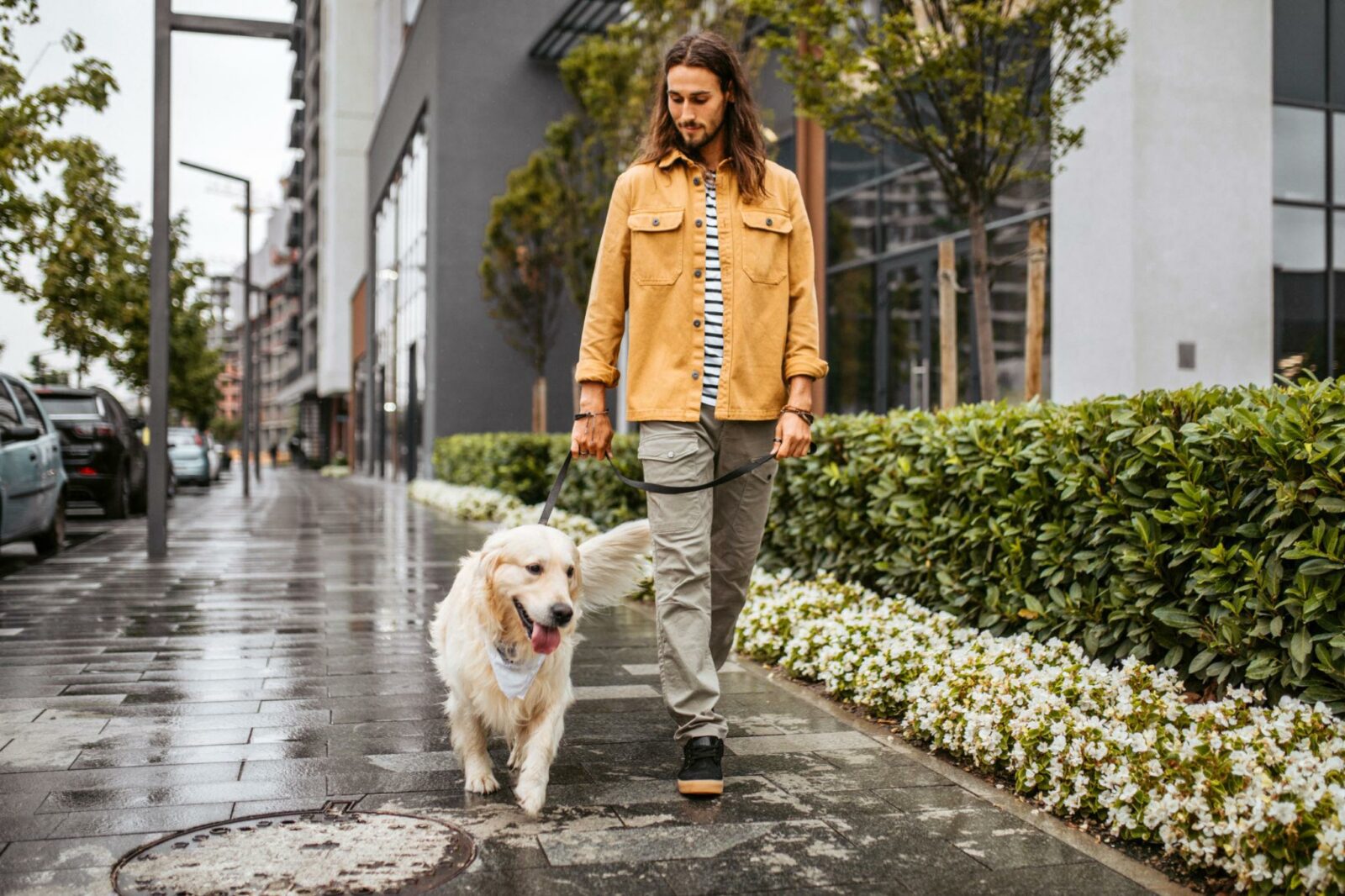 Homme se promenant avec son chien