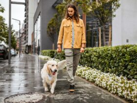 Homme se promenant avec son chien